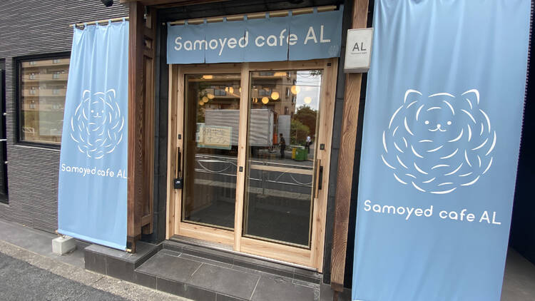 Samoyed Cafe AL
