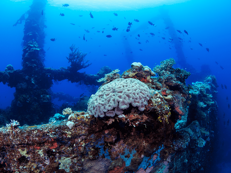 Chuuk Lagoon, Micronesia