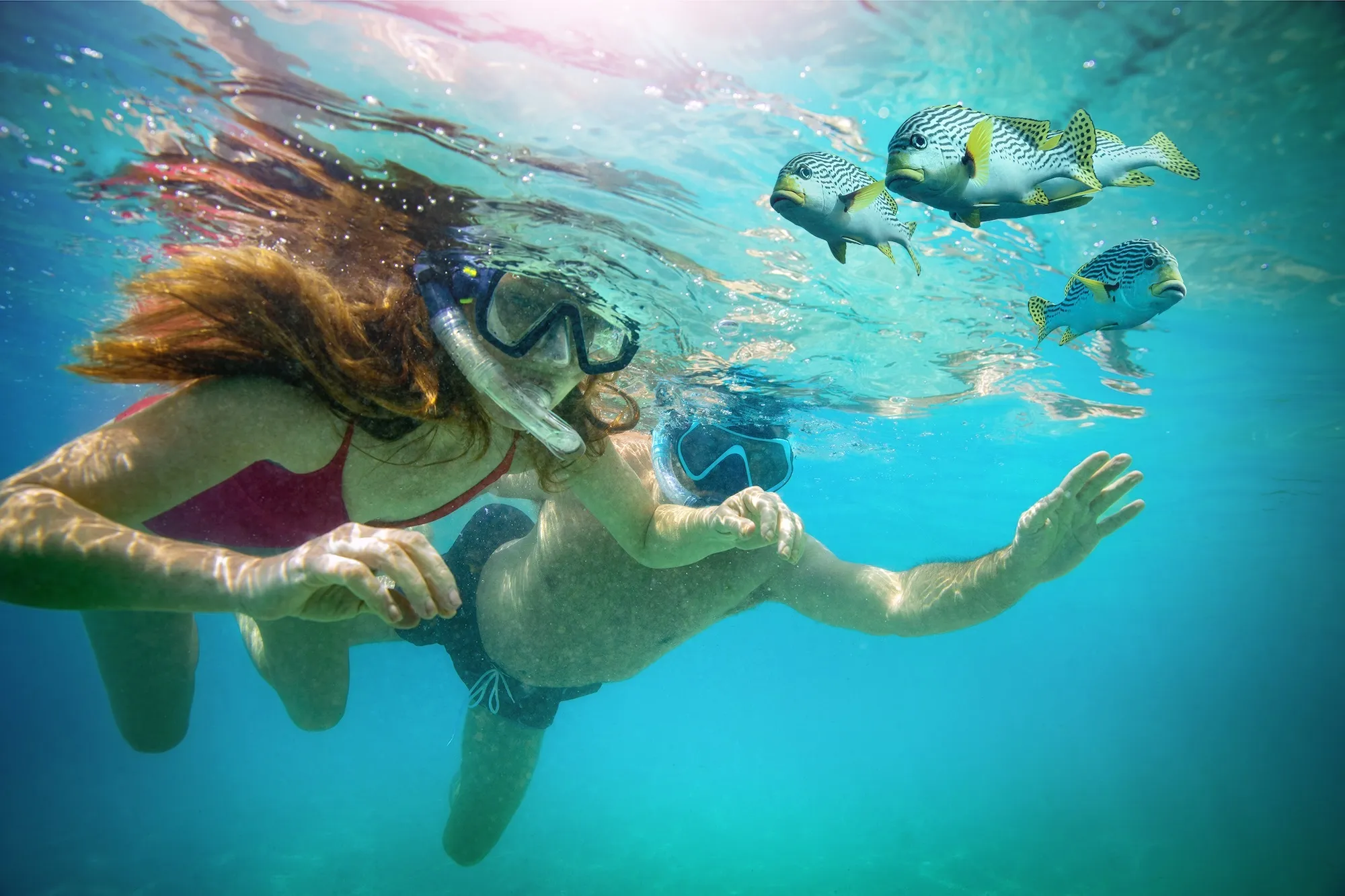 Photograph: P&O Cruises