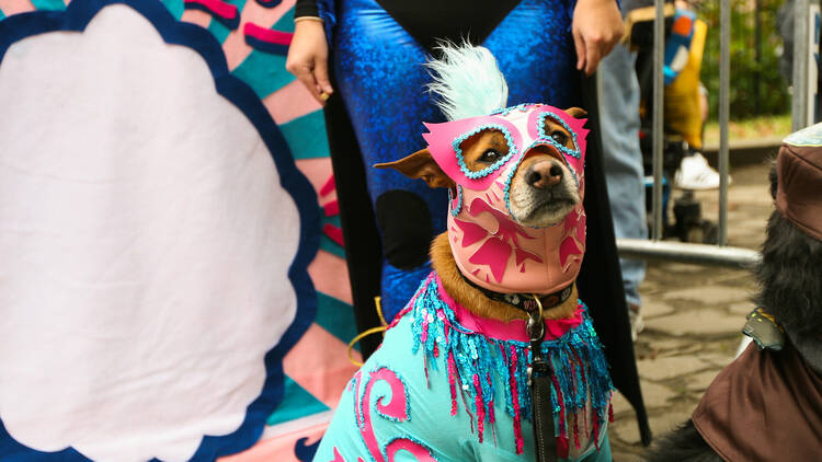 Riverside Park Pup Halloween Parade and Costume Contest