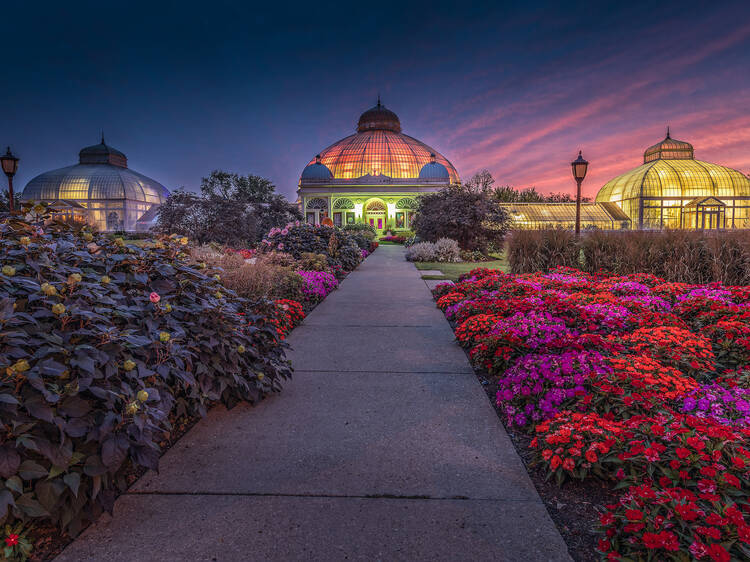 Buffalo Botanical Gardens’ Poinsettia & Railway Exhibit | Buffalo, NY