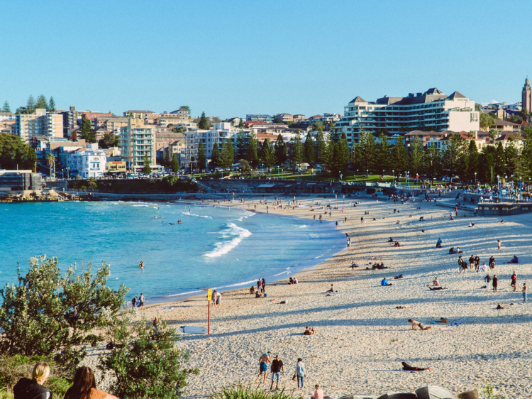 Australia has the cleanest air in the world, as the country with the most cities with fresh air