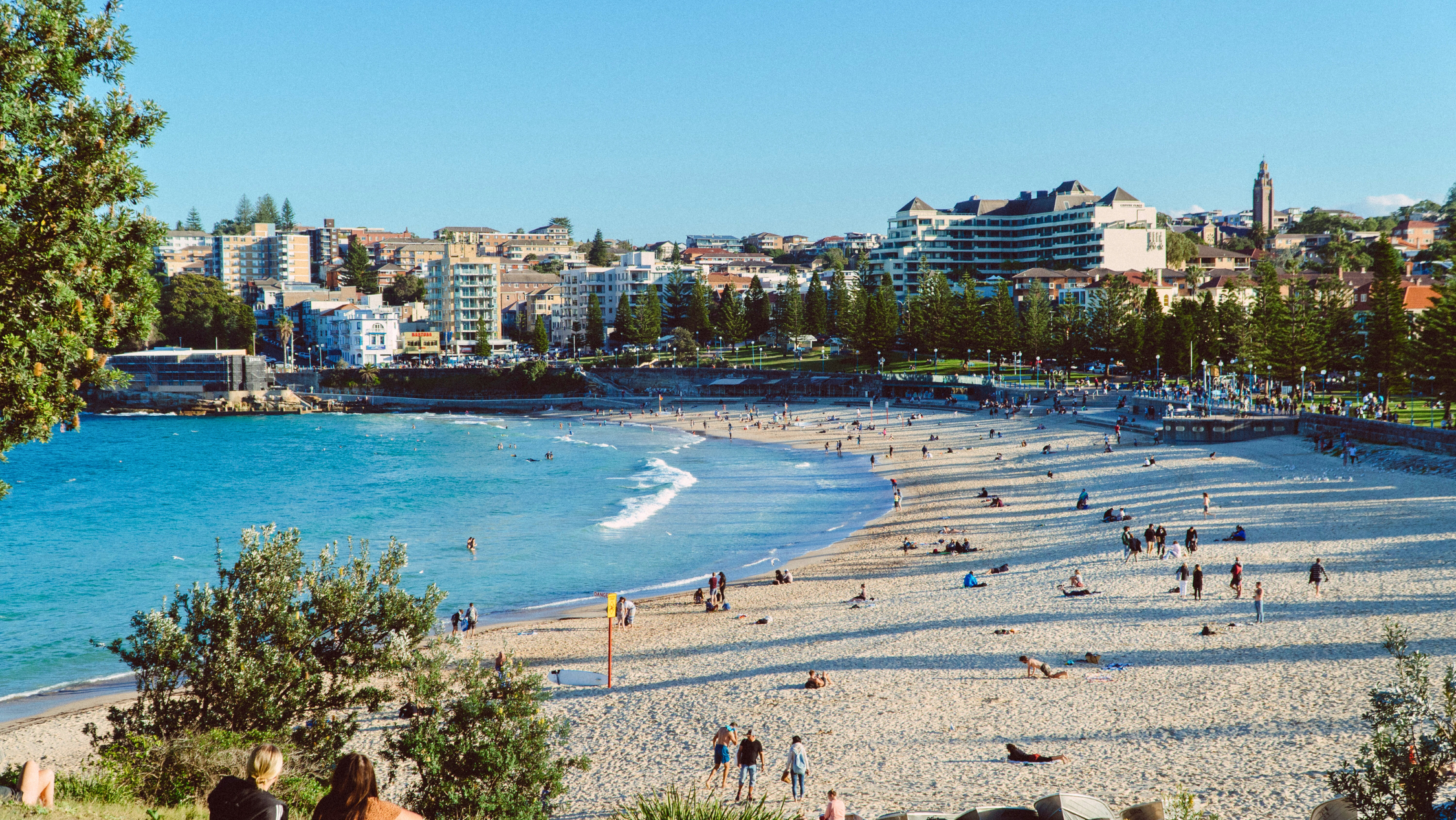 people on beach during daytime