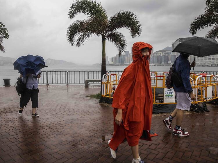 Typhoon Koinu: Hong Kong downgrades to T3 strong wind signal