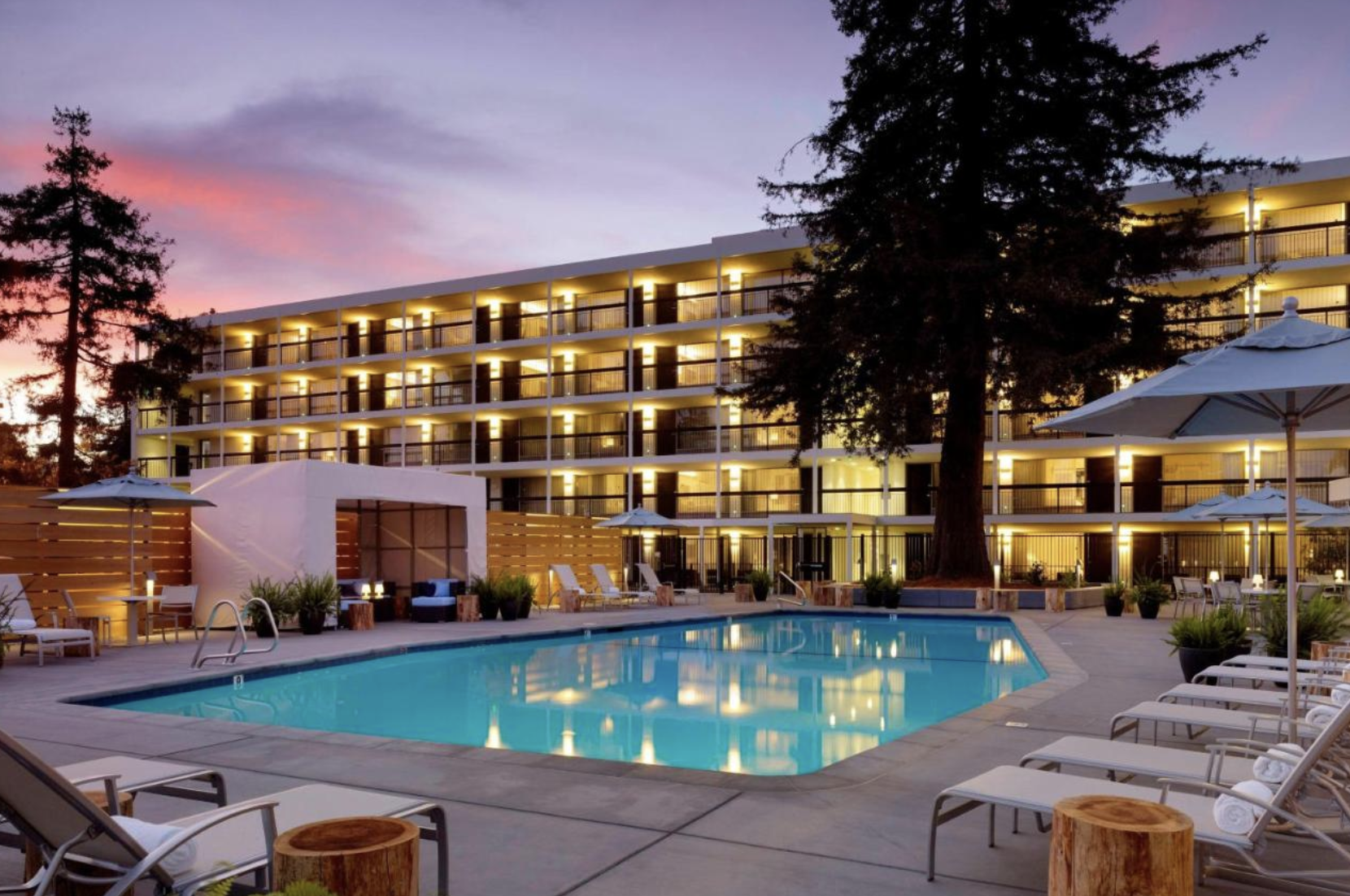 12 Best Hotels in Santa Cruz for 2024 Great Places to Stay in