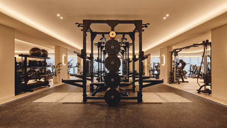 The interior of a gym filled with weights and machines. 