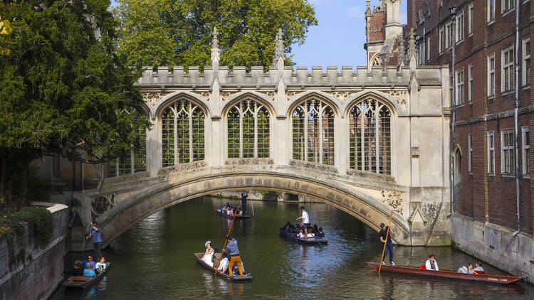 Take a punt on Cambridge