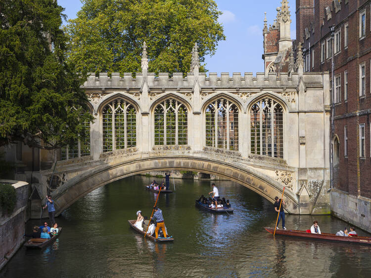 Take a punt on Cambridge