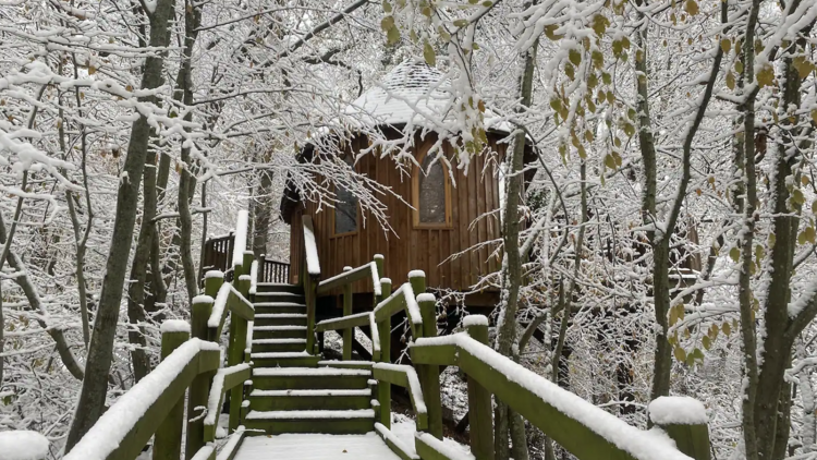 A treehouse in the woods of Mayfield