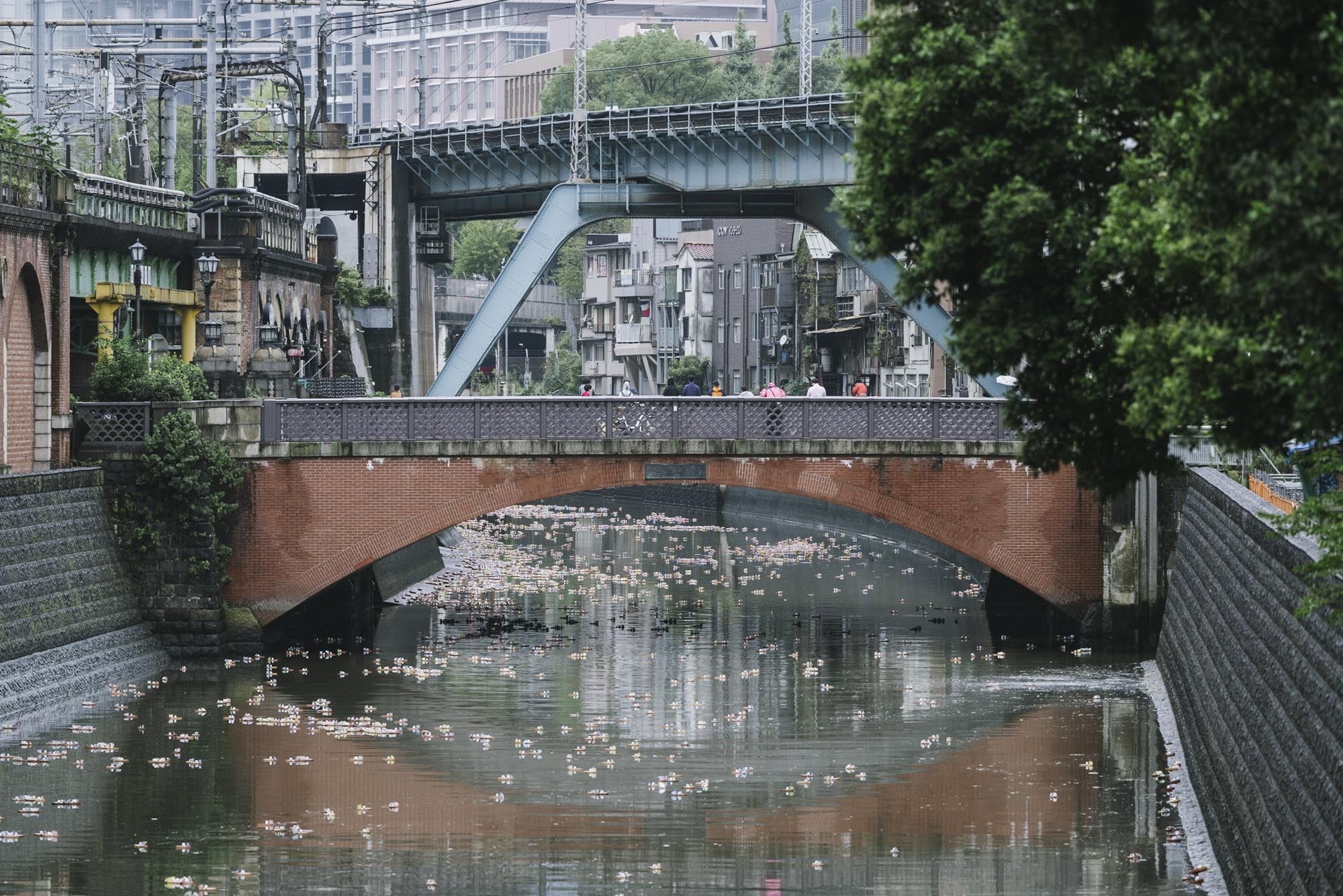 Tokyo Biennale 2023