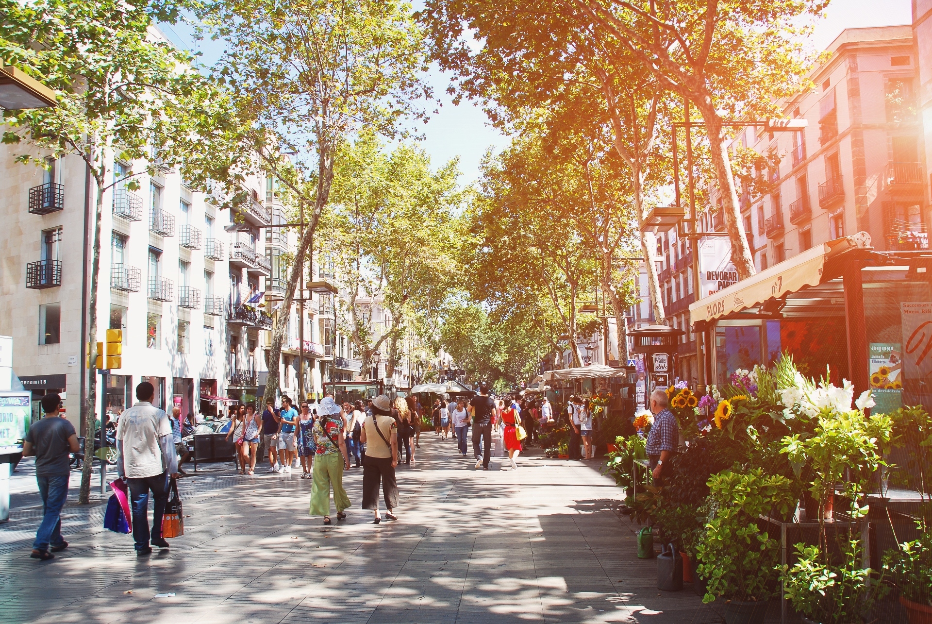Tast a La Rambla | Things to do in Barcelona