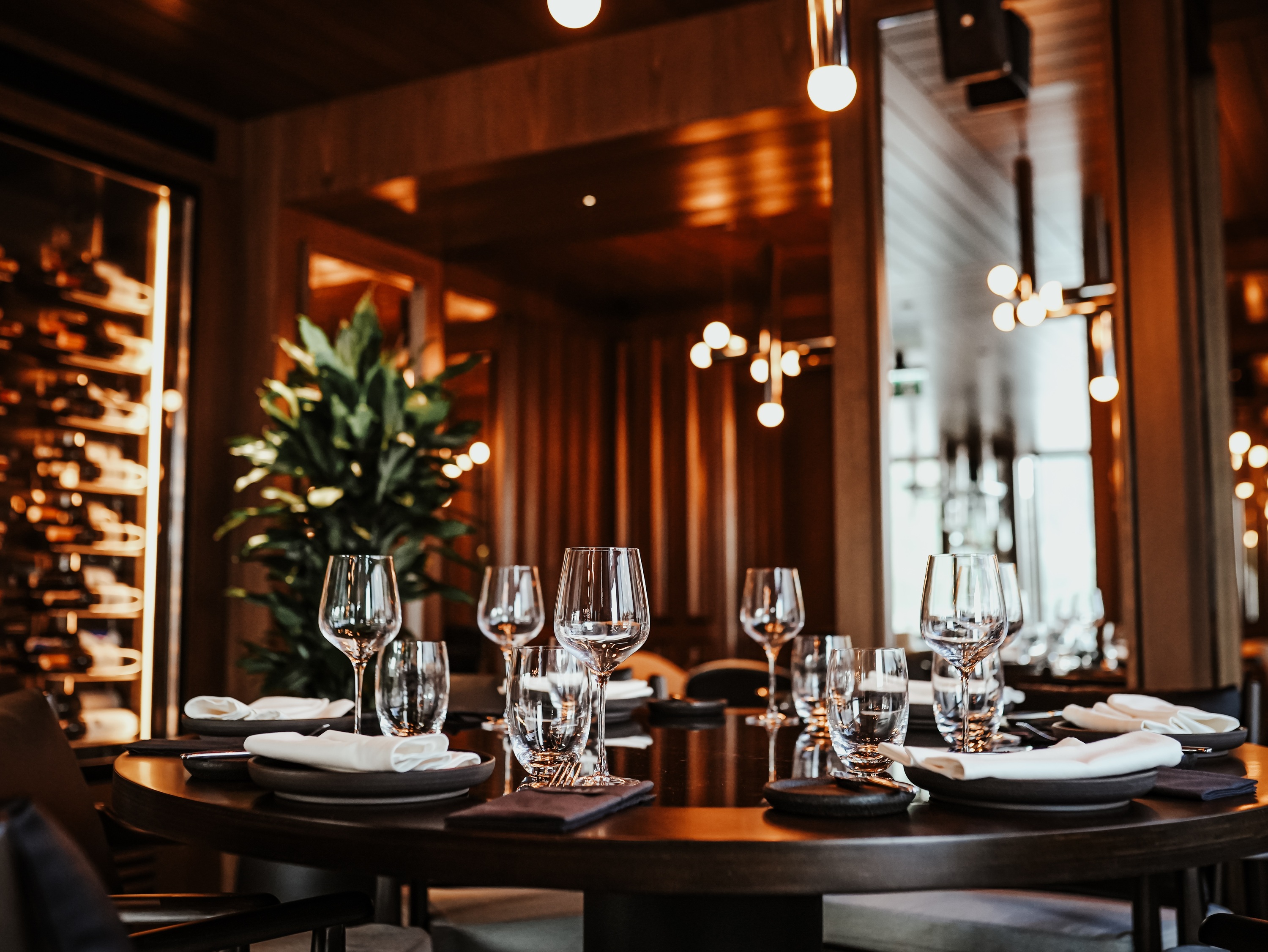 FENZ Istanbul - Restaurant in Istinye, Istanbul