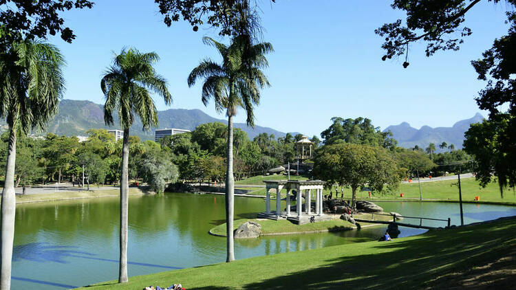 m grande gramado com palmeiras cerca um lago 