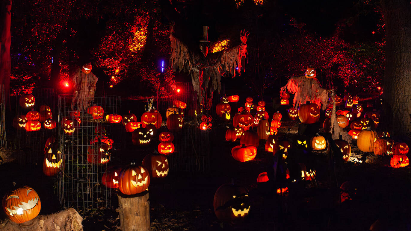 Carved is bringing a mile-long pumpkin trail to Descanso Gardens