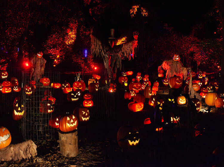 Carved is bringing a mile-long pumpkin trail to Descanso Gardens