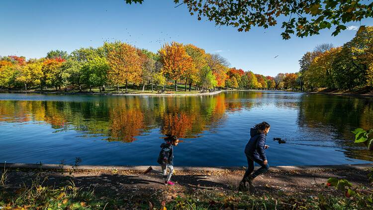 Explore some of Montreal's best parks