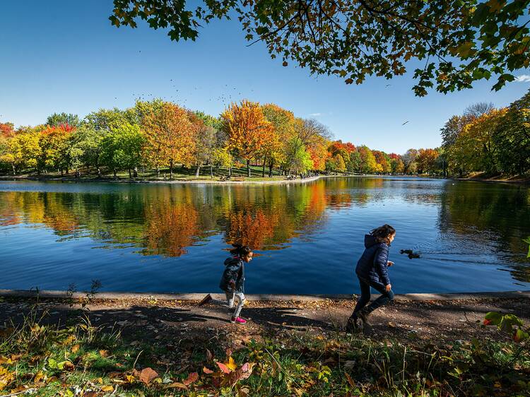 Explore some of Montreal's best parks