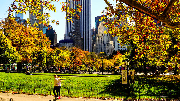 a couple walking in central park during the fall