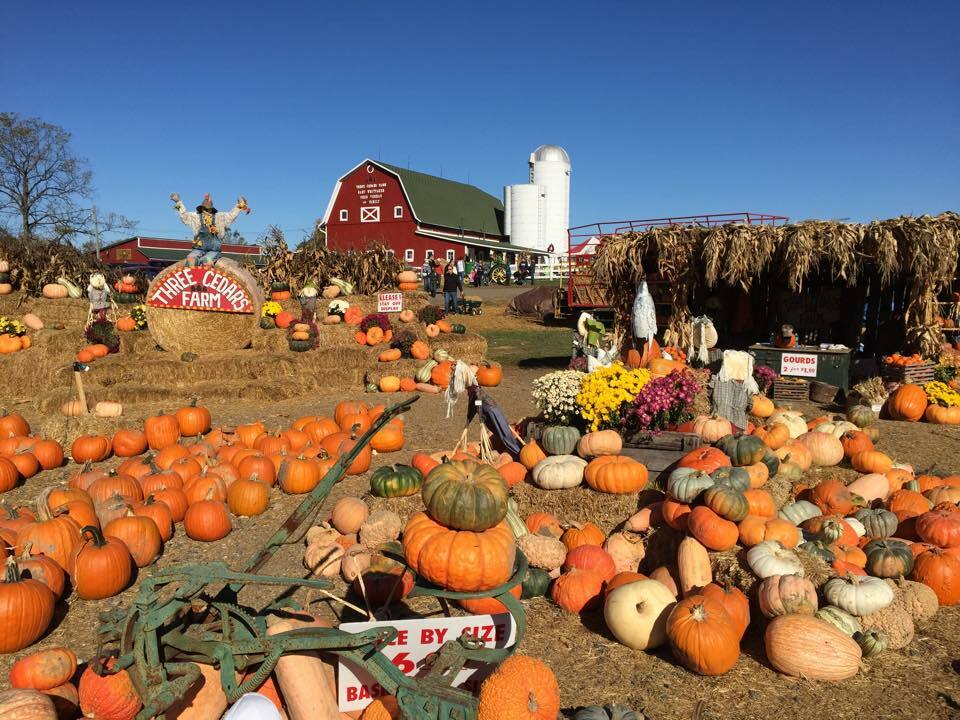 10 Best Pumpkin Patches in the U.S.