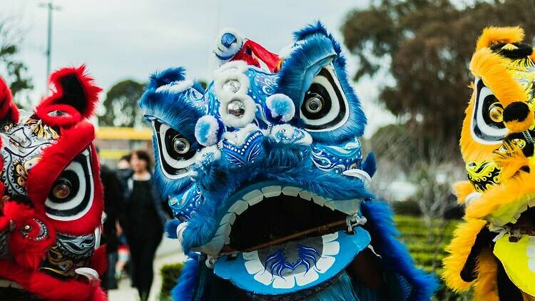 Colourful Chinese dragons. 