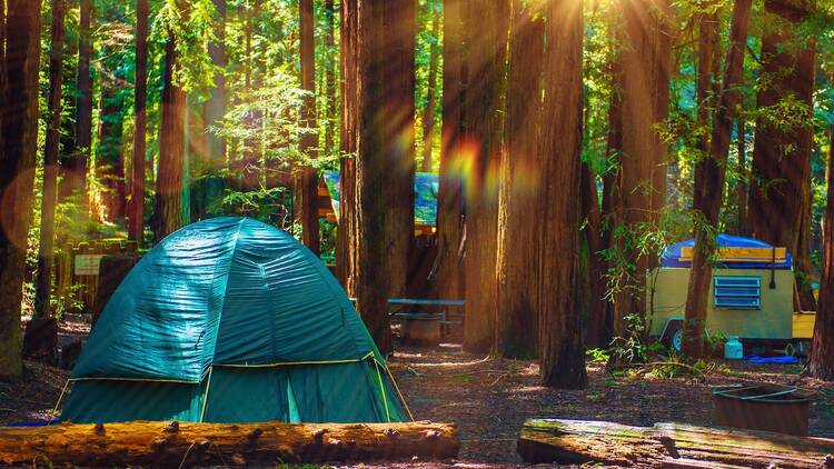 Camping in the Redwood National Park in California