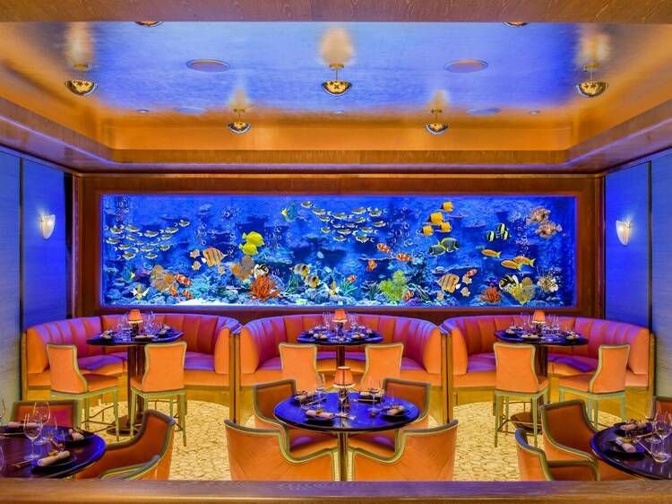 The Rainbow Reef Room at Sexy Fish