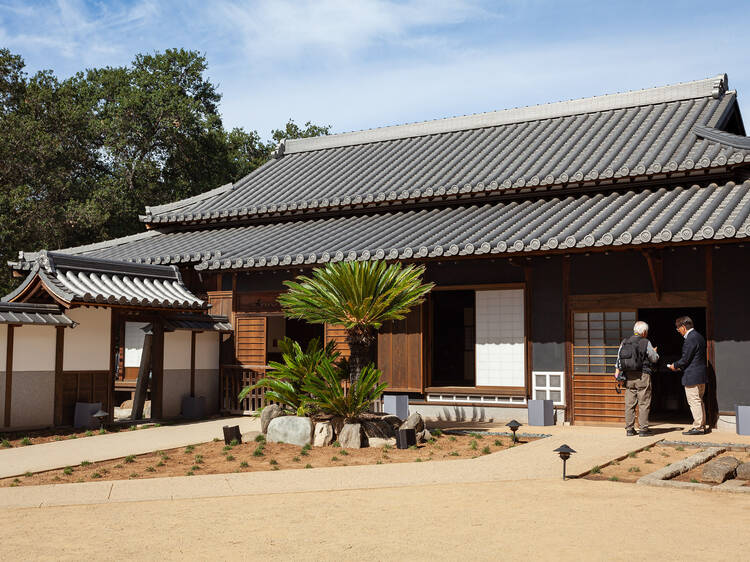 Stroll through the stunning gardens at the Huntington Library