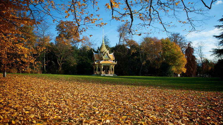 Soak up the autumn colours