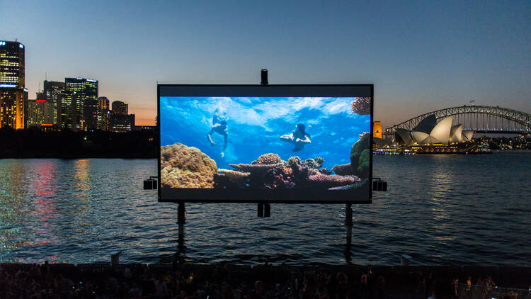 An outdoor movie screen shows snorkellers at Westpac OpenAir Cinema