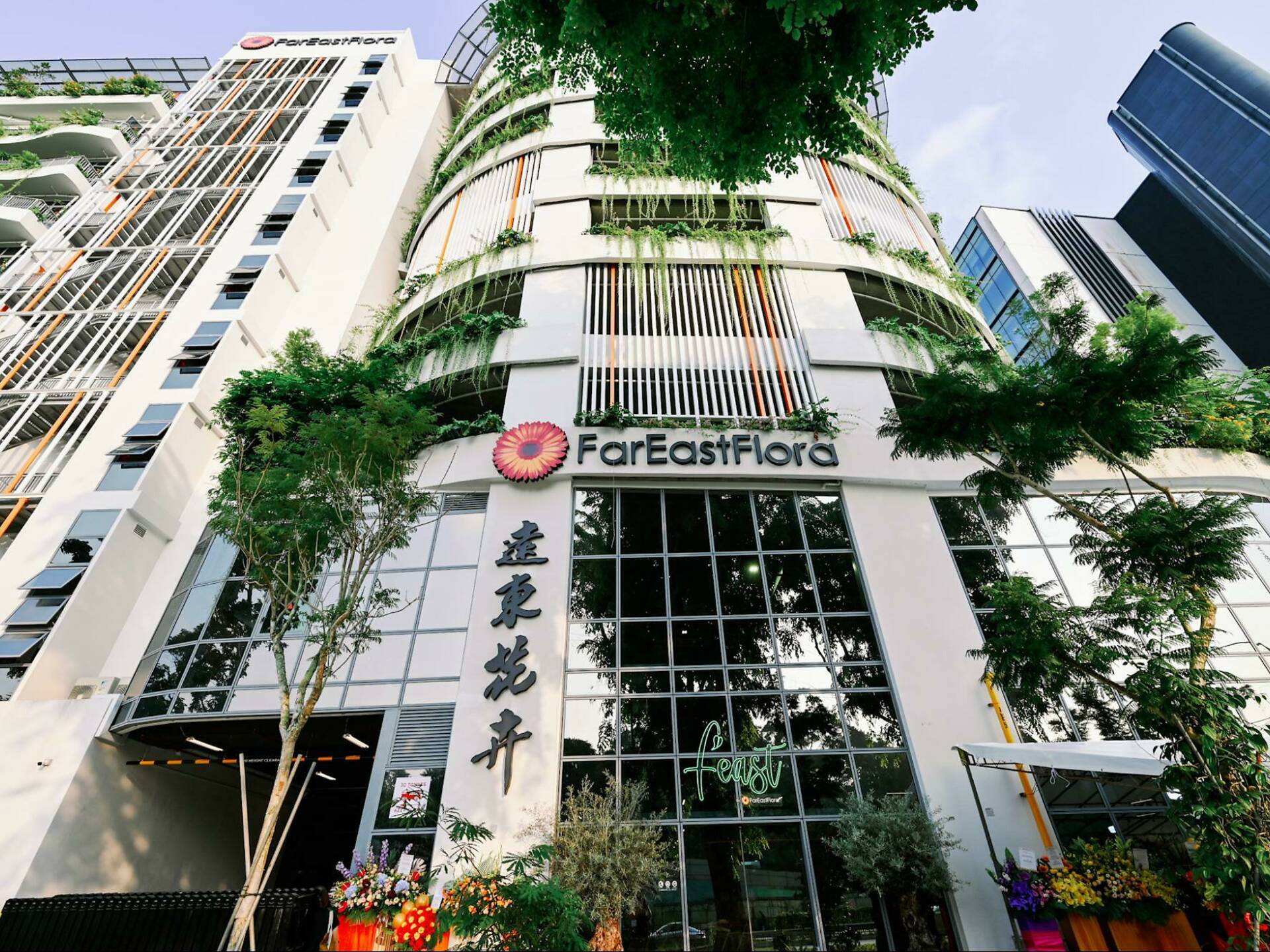 The Best Flower Markets And Flower Shops In Singapore