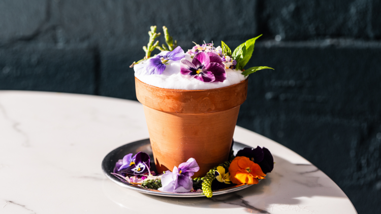 A flower pot cocktail