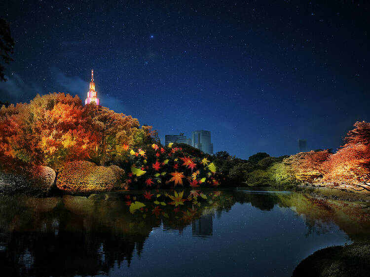 「新宿御苑」で紅葉ライトアップ、アートな提灯や秋の味覚が満載