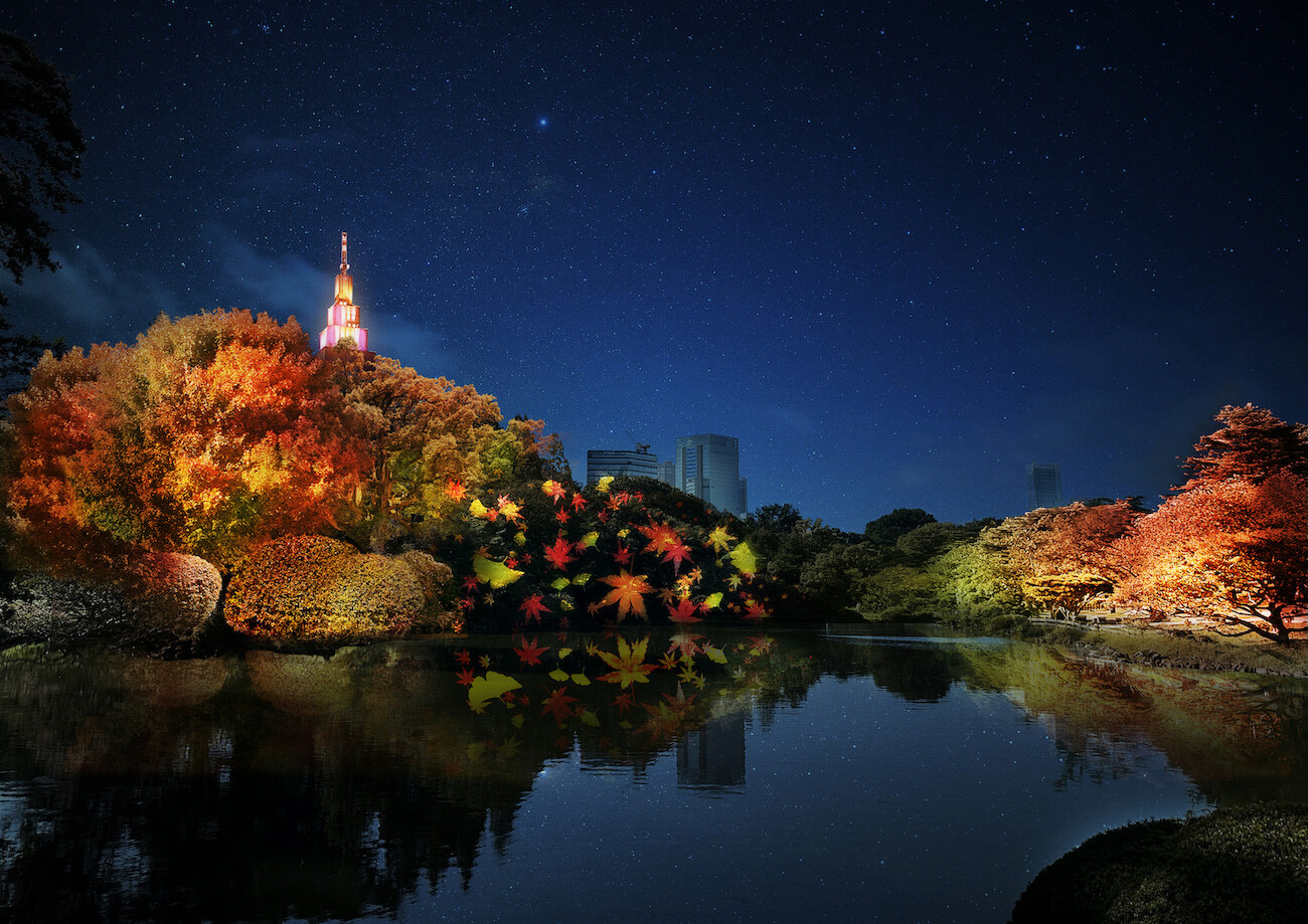 新宿御苑」で紅葉ライトアップ、アートな提灯や秋の味覚が満載
