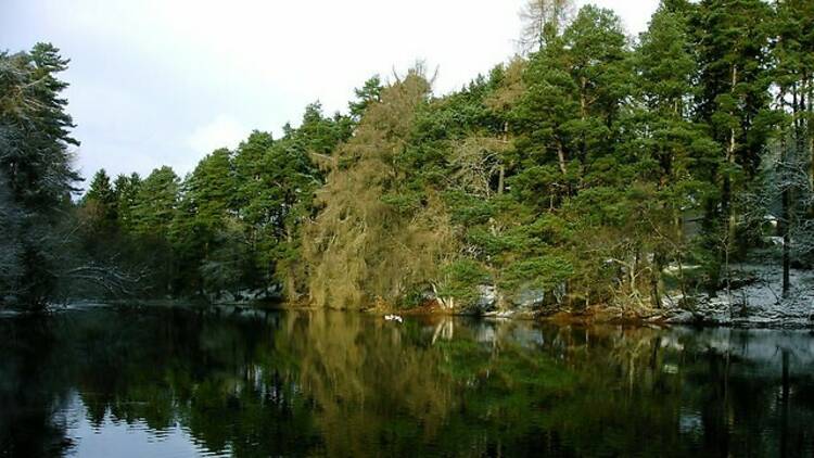 Bod Petryal, Clocaenog Forest