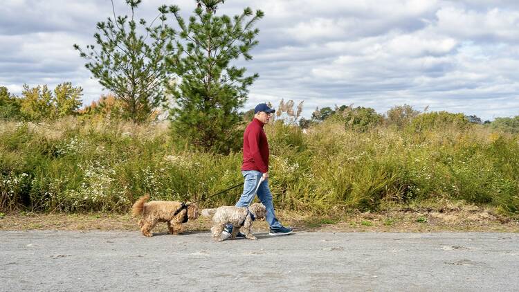 Freshkills Park