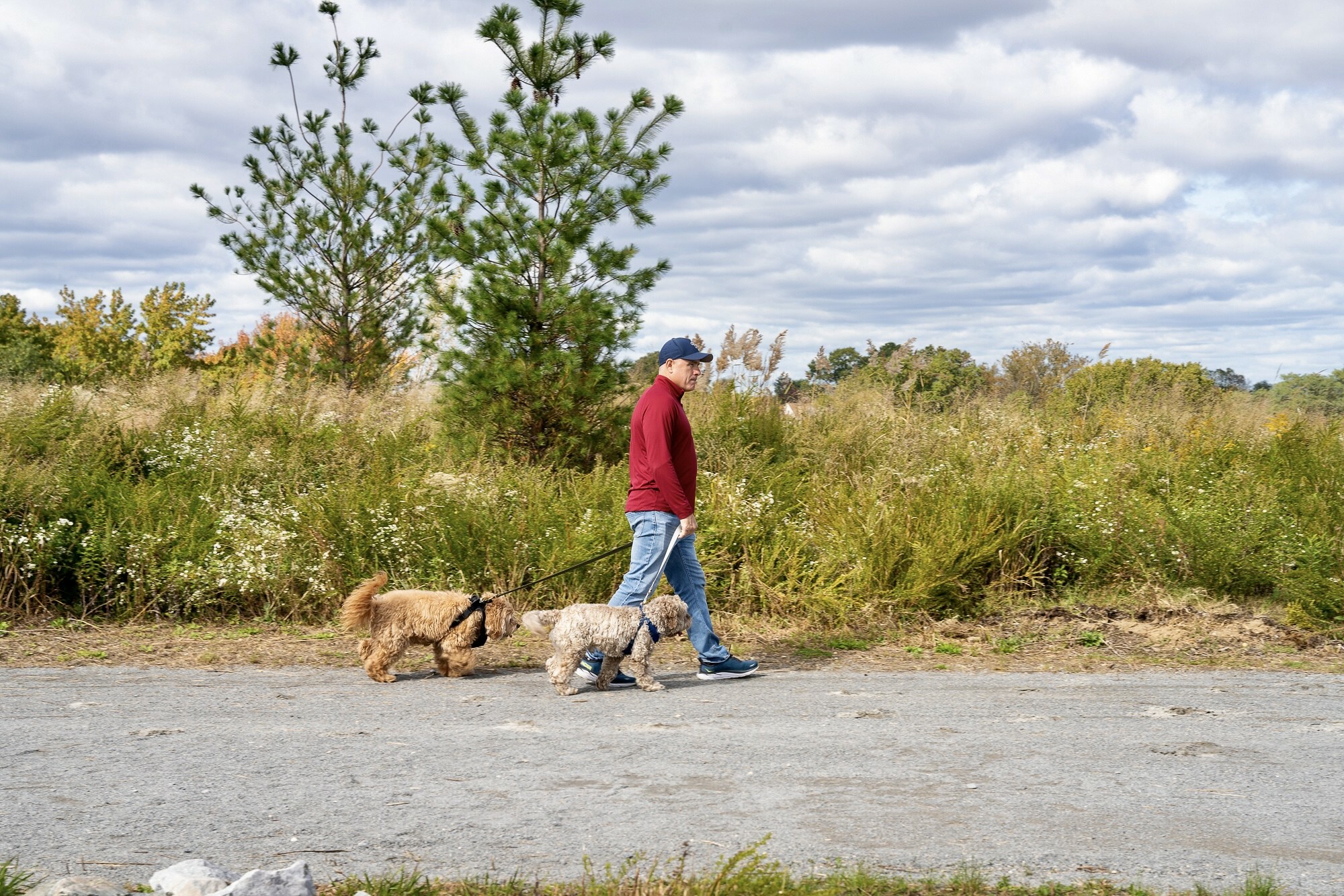 A section of the second largest park in NYC is now open to the public