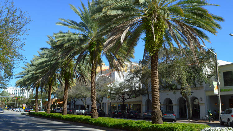 Miracle Mile in Coral Gables