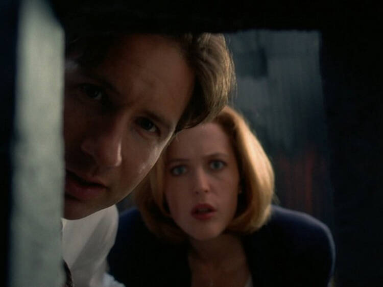 The X-Files (1993-2002)