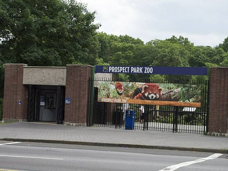 Prospect Park Zoo is officially reopening later this month