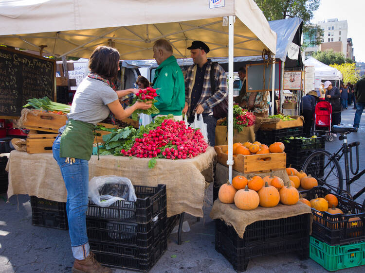 Veggies at 79th Street Greenmarket