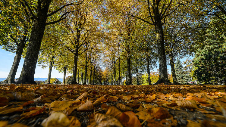 Parc Valency in autumn, Lausanne.