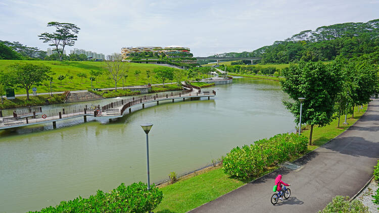 Reconnect with nature at Punggol Waterway Park