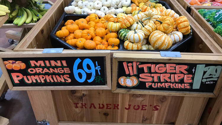 Halloween pumpkins at Trader Joe's