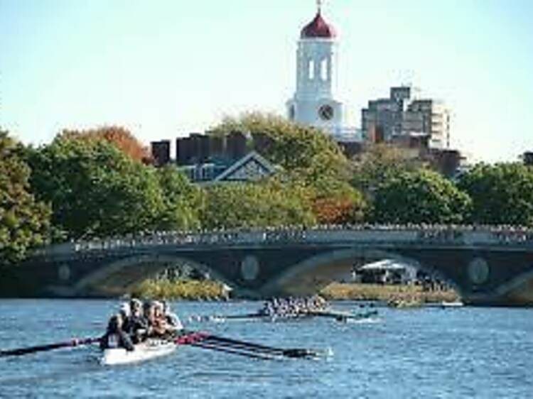 Attend Head of the Charles Regatta