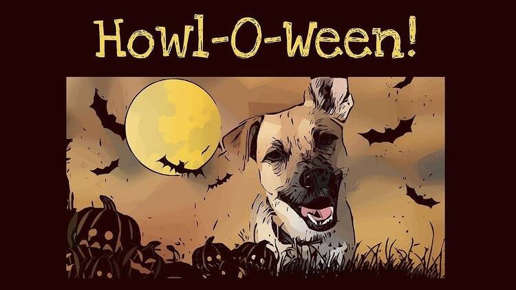 Howl-O-Ween at Peters Park