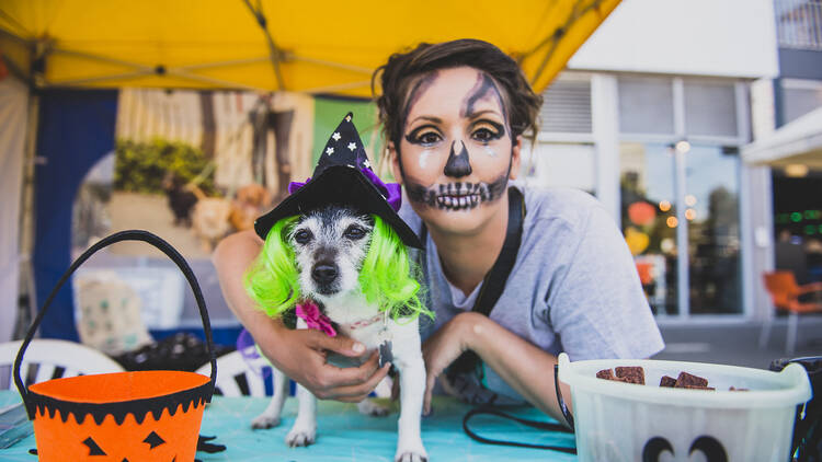 Snap spookie selfies of your pet at Dog-O-Ween