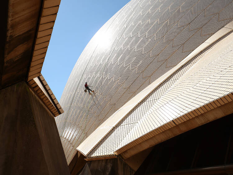 Vertical limit: tile tapping on the Opera House - circa 2022