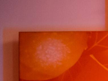 El artista urbano INSANE 51 cambia las paredes por una botella, ¡os lo explicamos! El artista urbano INSANE 51 cambia las paredes por una botella, ¡os lo explicamos!