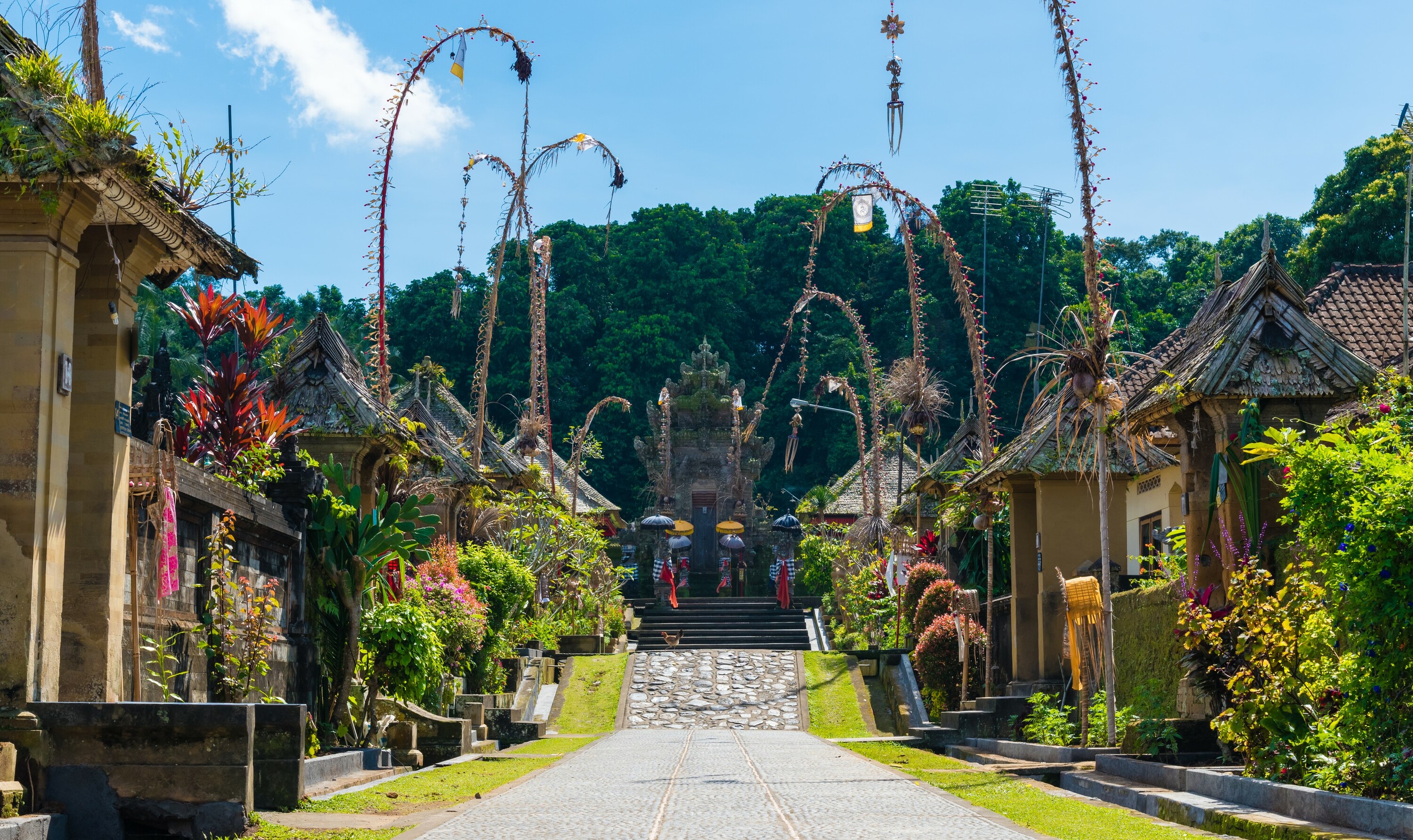 Pingliburan, Vietnam