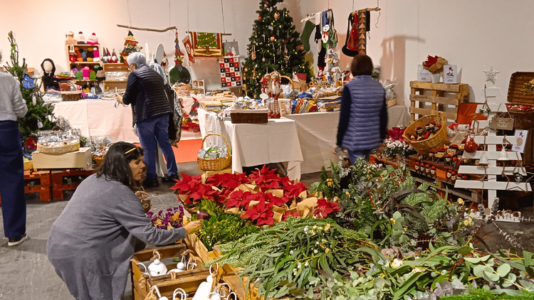 Mercat Solidari Fundació Villavecchia 